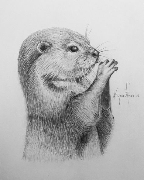 Graphite drawing of an otter. Artist: Karrie Farrar Sketchbook Art Inspiration Animals, Animal Graphite Drawing, Otter Pencil Drawing, Animal Drawings Simple, Zoo Animal Drawings, Sea Otter Sketch, How To Draw An Otter, Otter Drawing Sketches, Graphite Drawings Ideas