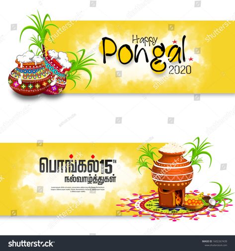 Happy Pongal Holiday Design With Green Background Of Indian Festival. happy pongal translate Tamil text. #Ad , #Sponsored, #Design#Green#Background#Happy Photography Ads, Flex Banner Design, Flex Banner, Festival Post, Happy Pongal, Indian Festival, Banner Images, Indian Art Paintings, Holiday Design