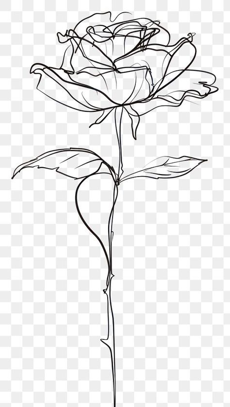 Rose Vines Drawing, Rose Graphic Design Illustration, Roses Sketch Drawing, White Roses Drawing, Aesthetic Rose Drawing, Free Hand Designs Drawing, Rose Sketch Simple, Rose Hand Drawing, Rose Pen Drawing