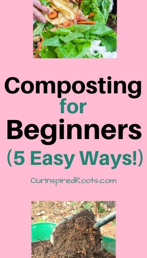 Vermicomposting For Beginners, Easy Composting For Beginners, Compost For Beginners, Farming For Beginners, Compost Ideas, Composting For Beginners, Start Composting, Garden Tricks, Worm Farming