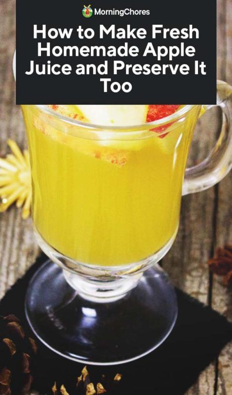 How to Make Fresh Homemade Apple Juice and Preserve It Too Make Apple Juice, Juicing For Energy, Fresh Apple Juice, Homemade Apple Juice, Preserve Fruit, How To Make Juice, Apple Juice Recipe, Bourbon Cider, Morning Chores