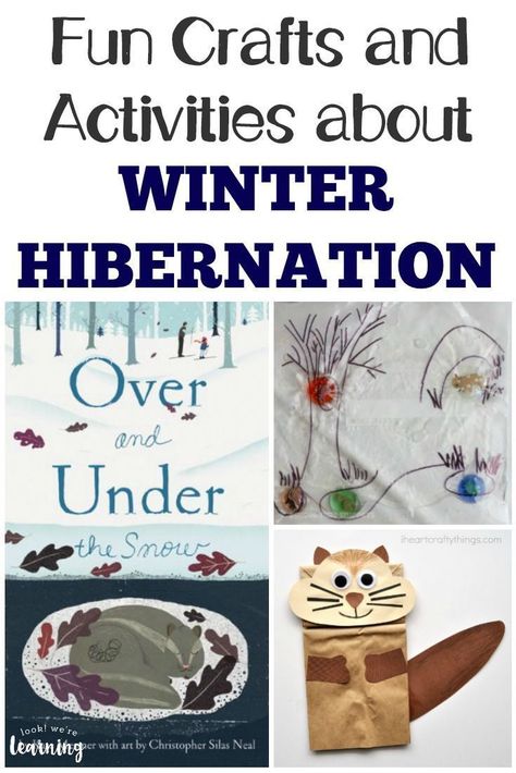 Animal Art Projects For Kids, Hibernation Preschool Activities, Hibernation Crafts, Hibernation Preschool, Hibernating Animals, Hibernation Activities, Alternative School, Season Activity, Winter Hibernation