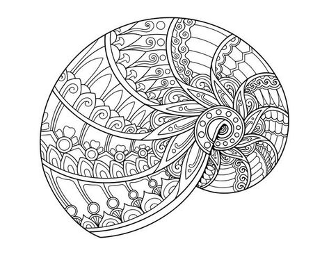 Shell Coloring, Shell Artwork, Mandala Sketch, Shell Drawing, Zentangle Animals, Star Coloring Pages, Sea Colour, Clear Background, Art Activities For Kids