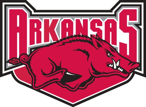 Arkansas Razorbacks Alternate Logo - NCAA Division I (a-c) (NCAA ... Flowers Words, Grad Cap Design, Razorback Football, Arkansas Football, Arkansas Razorbacks Football, Southeastern Conference, Temporary Tattoo Sleeves, Custom Temporary Tattoos, Tshirt Quilt