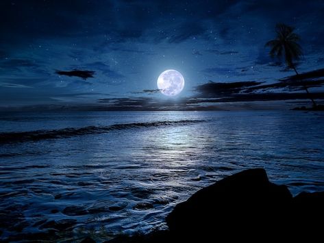 Linda noite no oceano com lua cheia | Premium Photo #Freepik #photo #mar-calmo #ceu-mar #praia-noite #mar Silhouette Pictures, Moon Silhouette, Silhouette Photos, Beautiful Night, Photo Beautiful, In The Ocean, Premium Photo, Night In, Full Moon