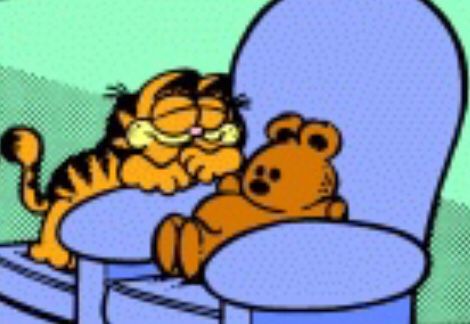 Fat Orange Cat, Garfield Pictures, Garfield Images, Funny Orange, Garfield Cartoon, Garfield The Cat, Garfield Cat, Garfield Comics, Garfield And Odie