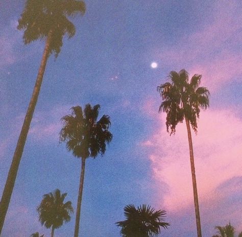 #aesthetic #palm #palmtrees #tree #pastel #pink #blue #purple #diy #recipe #keto #funny #pfp #crochet Wallpaper Iphone Vintage, Photowall Ideas, Arte 8 Bits, New Retro Wave, Fotografi Vintage, 80s Aesthetic, Wallpaper Tumblr, Vaporwave Aesthetic, Wallpaper Vintage