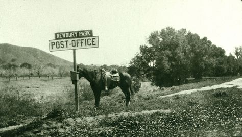 Garden Of Allah, Los Angeles Architecture, Newbury Park, California Ranch, Lala Land, Going Postal, California History, Westlake Village, San Fernando Valley