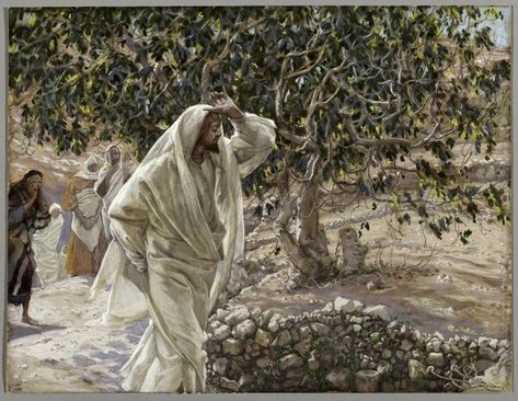 James Tissot, The Fig Tree, The Transfiguration, Santa Catalina, Walk On Water, Holy Week, The Eighth Day, Fig Tree, The 5th Of November