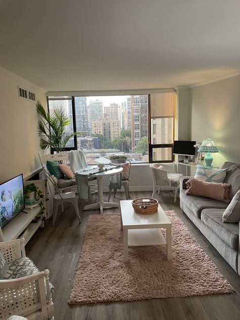 Seattle Apartment Decor, Living Room Decor University, Chicago Apartment Living Room, Boston Apartment Aesthetic Bedroom, Detroit Apartment Aesthetic, Washington Apartment Aesthetic, Old Lady Apartment, Philadelphia Apartment Aesthetic, Med School Apartment