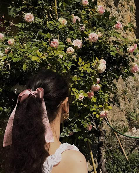 la vie en rose for… | Instagram English Rose Aesthetic, La Vie En Rose Aesthetic, Enfp Girl, Paola Rios, Rose Core, Life Core, Rose Aesthetic, Rosé Aesthetic, English Rose