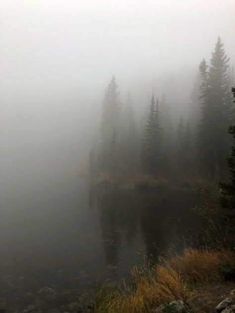 Foggy Lake, Dark Naturalism, Foggy Weather, Put Me In A Movie, Dark Green Aesthetic, Foggy Forest, Forest Path, Misty Forest, Dark Photography