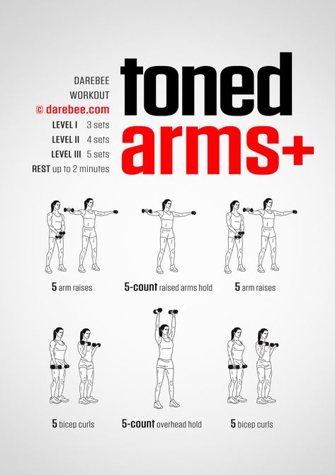 Toned Arms Plus Workout Arms Dumbbell Workout Women, Arm Excersizes With Dumbbells, Toned Arms Dumbbell Workout, Dumbell Arm Workout Women At Home, 5 Lb Weight Workout Arms, Arms Weight Workout, Basic Dumbbell Workout, Upper Body Workout At Home With Weights, Toning Arms For Women At Home