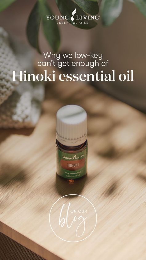 Oily Chic, Hinoki Essential Oil, Spritzer Recipes, Hinoki Cypress, Cypress Oil, Young Living Essential Oils Recipes, Yl Oils, Aromatic Oils, Forest Bathing