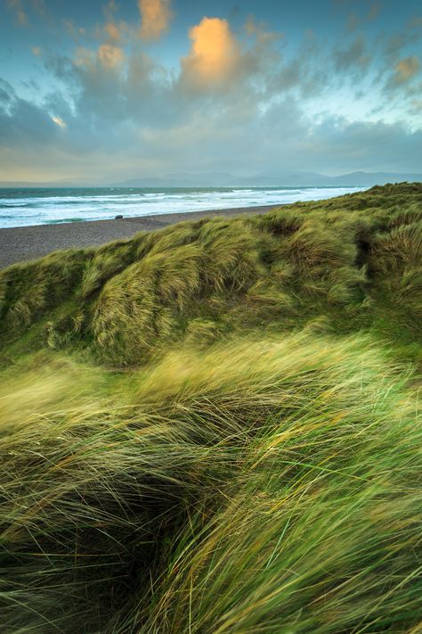 Rossbeigh Strand [Explored © Graham Daly  This image was captured while I was leading a 1x1 Workshop down at Rossbeigh Strand which is located near the town of Glenbeigh in County Kerry, Ireland.  There was a very strong westerly wind blowing in from the Atlantic ocean which caused the grass on the sand dunes to convey a real sense of movement and motion. Long Grass Blowing In The Wind, Atlantic Ocean Aesthetic, Thinking Woman, Poster Architecture, Landscape Ocean, Country Photography, Blowin' In The Wind, Beach Grass, Kerry Ireland