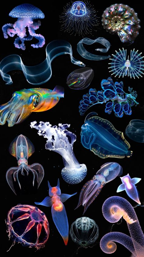 Deep sea Deep Sea Creatures Aesthetic, Deep Sea Merfolk, Abyss Creatures, Deep Ocean Aesthetic, Deep Sea Aesthetic, Deep Sea Monsters, Deep Ocean Creatures, Deep Sea Art, Firefly Squid