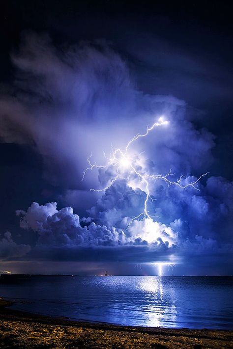 Lightning strikes over Clearwater, Florida - USA Lightning Images, Scary Ocean, Pictures Of Lightning, Lightning Photos, Blue Aesthetics, Lightning Photography, Lightning Cloud, Purple Lightning, Storm Photography