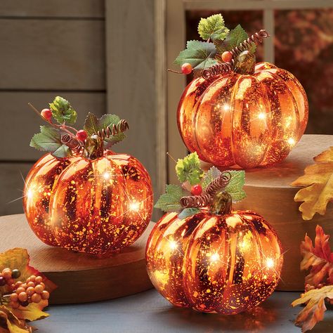 Lighted Harvest Pumpkin Set Fall Home Decor, 3 Pc | Collections Etc. Thanksgiving Centerpieces Table, Fall Autumn Decor, Dekorasi Halloween, Pumpkin Candle Holder, Fall Pumpkin Decor, Easy Fall Decor, Harvest Pumpkin, Pumpkin Fall Decor, Autumn Lights