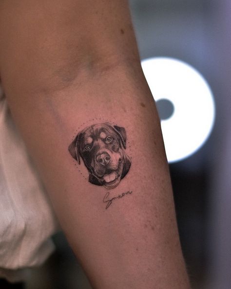 Dog Tattoo Rottweiler, Realistic Pet Tattoos, Micro Dog Tattoo, Realism Dog Tattoo, Small Pet Portrait Tattoo, Rottie Tattoo, Small Dog Portrait Tattoo, Pet Portraits Tattoo, Rottweiler Tattoo For Women