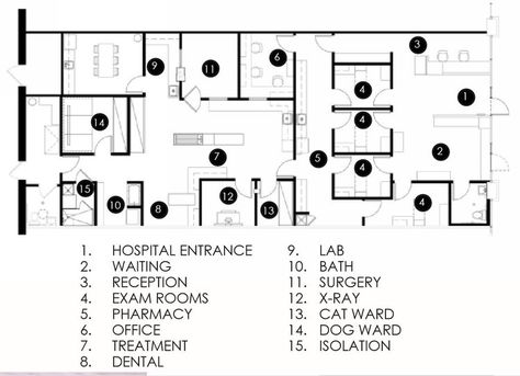 Veterinary Clinic Floor Plans, Veterinary Clinic Design Floor Plans, Veterinarian Clinic Design, Vet Clinic Layout, Pet Clinic Design Floor Plans, Vet Hospital Design, Vet Design, Veterinarian Career, Veterinarian Clinic