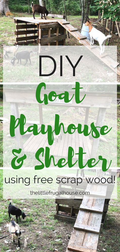 Goats love to climb, jump, and play. So, we built a DIY goat playhouse so they can do just that! The best part? We used free scrap wood! I'll show you how we built it.. Goat Playhouse, Goat Playground, Goat Shelter, Goat Pen, Female Goat, Goat House, Goat Barn, Build A Playhouse, Raising Goats