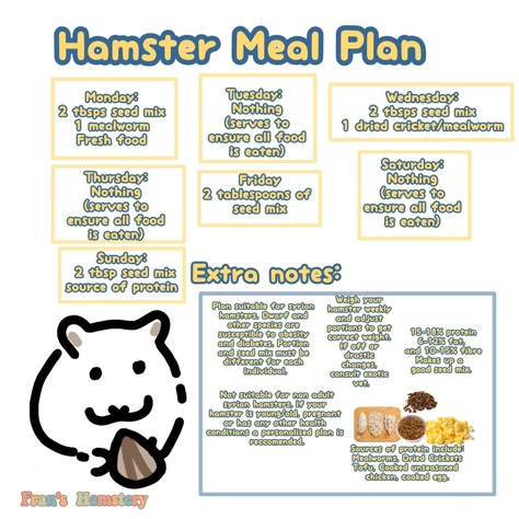 Syrian Hamster Color Chart, Hamster Meal Plan, Syrian Hamster Food List, Hamster Feeding Schedule, Hamster Care Checklist, Hamster Food List, Hamster Care Tips, Diy Hamster Food, Fancy Hamster