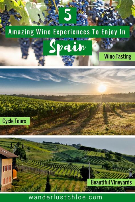 Top Wine Experiences In Spain | From visiting a festival dedicated to wine, to learning about Rioja, and even cycling through some of the most beautiful vineyards in the country, here are some of the ultimate wine experiences in Spain. | #spain #wine #winetasting #espana #rioja #cycletours #vineyard Spain Roadtrip, Spain With Kids, Spain Wine, Travel In Spain, Travel To Spain, Spain Tour, Spain Design, Wine Tourism, Drinking Around The World