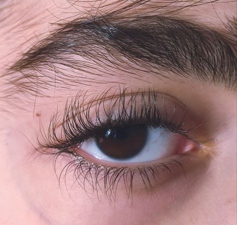 Eyebrow Aesthetic, Thick Eyebrows Natural, Long Lashes Natural, Long Eyebrows, Long Thick Eyelashes, Bushy Eyebrows, Thick Eyelashes, Eyelashes And Eyebrows, Thick Brows