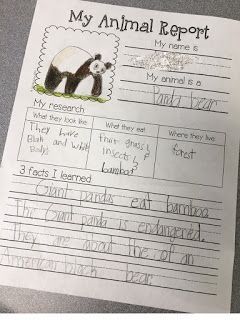 Animal reports are a fun way to get young students excited about doing research. Today I wanted to show how I differentiate my animal research unit for kindergarten all the way up through fourth grade Animal Report, Animal Research, Second Grade Writing, 2nd Grade Writing, 1st Grade Science, First Grade Science, 1st Grade Writing, First Grade Writing, Research Writing