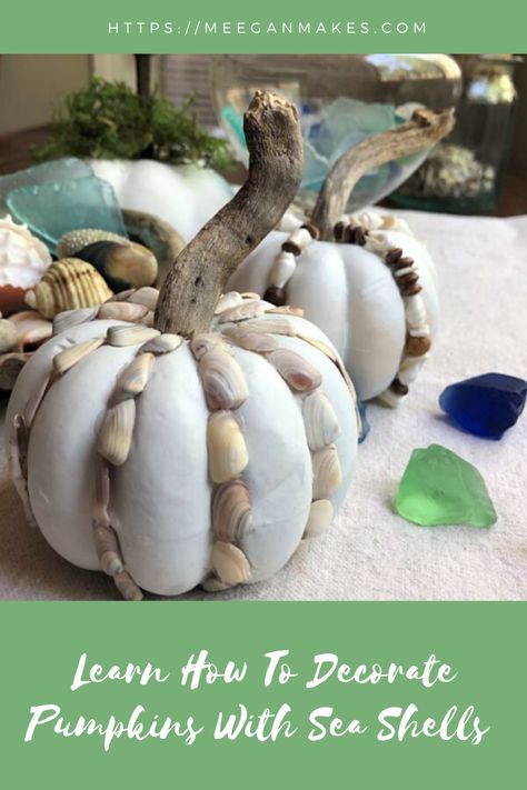 How To Decorate Pumpkins With Sea Shells - What Meegan Makes Asparagus Quiche Recipes, Decorate Pumpkins, Book Page Flowers, Faux Pumpkins, Christmas Surprise, Quiche Recipes, Free Christmas Printables, Sweet Chili, Diy Vintage