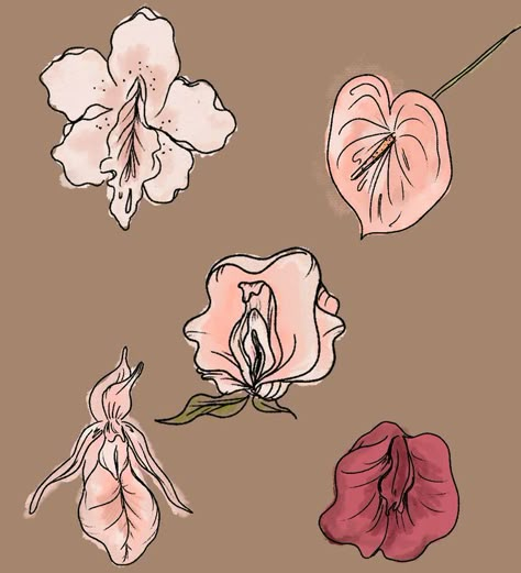 LADYSUITE | Flower drawing, Art drawings, Feminist art#Clitoria_Flower_Tattoo #Flower_Woman_Art #The_Magic_School_Bus #Ms_Frizzle Flower Ovary Drawing, Clitoria Flower Tattoo, They Them, The Magic School Bus, Arte Yoga, Flower Woman, Magic School Bus, Feminine Art, Magic School