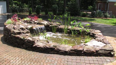 Above Ground Ponds Backyard, Above Ground Pond With Waterfall, Above Ground Koi Pond Ideas, Above Ground Pond Ideas, House Expansion, Pond Backyard, Yard Pond, Above Ground Pond, Diy Porch Swing Bed