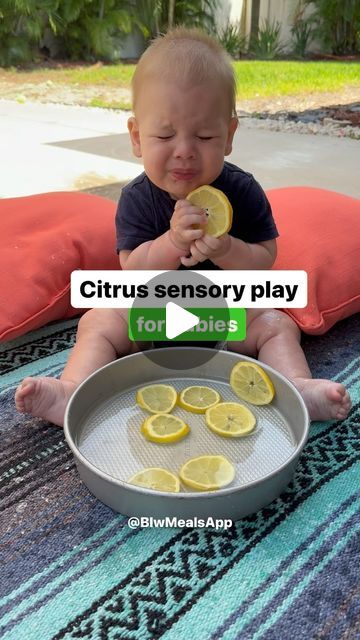 BLW Meals - Start Solids App on Instagram: "🍋 When life gives you lemons, let your baby splash around with them! 🍋  Sensory play like this isn’t just adorable, it’s a key step towards building a positive relationship with food.   👶💡 Sensory play:  🔹 exposes baby to different tastes and textures 🔹 Boosts fine motor skills 🔹 Encourages curiosity and exploration 🔹 Supports language development  Sometimes creating these positive associations outside of mealtime in a pressure-free environment can make a big difference in them being interested in food!  Remember touching and exploring a food with all of their senses is often a first step towards wanting to taste it! Make sure to wash your baby afterwards and before long sun exposure to avoid skin irritation 💚.   If you’re wanting more g Infant Food Activities, Blw Meals, Messy Food, Baby Chef, Baby Led Feeding, Positive Relationship, Baby Fruit, Starting Solids, Food Activities