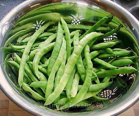 Cooking Pole Beans, New Southern Style | Drick's Rambling Cafe How To Cook Pole Beans, How To Cook Fresh Pole Beans, Pole Bean Recipes, Pole Beans Recipe, Country Food Recipes, Peas Recipes, Green Bean Recipe, Beans In Crockpot, Country Food