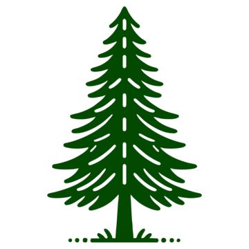 pohon pinus,pinus,pinus cembra,pinus resin,pohon,tanaman,hijau,hutan,pohon besar,bahan pinus,pohon pinus yang digambar tangan,termasuk jenis pohon jarum,gambar pohon pinus,pohon natal,cabang pohon,pinus elliotti,pinus thunbergii,pinus nigra,musim dingin,pinus canariensis,pinus uncinata,alam,hari natal,ilustrasi kartun,wollemia bangsawan Pinus Mugo, Pinus Mugo Winter Gold, Pinus Mugo Mughus, Pinus Pinea, Pinus Sylvestris, Pine Tree, Png Images, Halloween