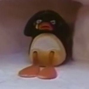 Pingu Pingu, Noot Noot, Spotify Covers, In The Corner, Reaction Images, Reaction Memes, Playlist Covers, Reaction Pics, Reaction Pictures