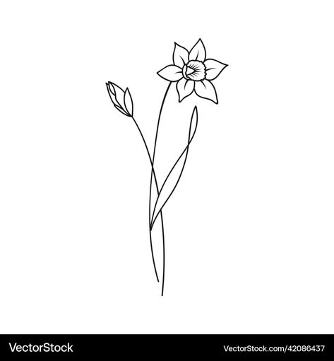 Tattoo Ideas Birth Flowers, Daffodil Drawing Tattoo Ideas, Daphodil Tattoo, Daphodil Flower, Daffodil Flower Tattoo, Single Daffodil, Daffodil Drawing, Flower Tattoo Stencil, March Birth Month Flower