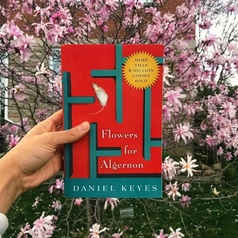 Flowers For Algernon Book Cover, Flowers For Algernon Book, Flowers For Algernon, Instagram Flowers, A Short Story, Book Recs, Short Story, A Novel, Short Stories