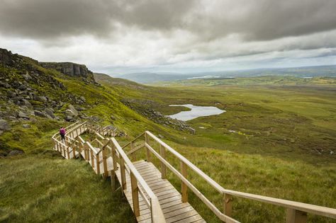 A meandering boardwalk across the bogland leads to a stairway with sublime views. Northern Island, Stairway To Heaven, Forest Park, Nature Trail, Ireland Travel, Uk Travel, Hiking Trip, Pilgrimage, International Travel