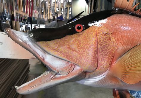 Hog Fish Replica | Hog Snapper | mounted fish | fish trophy Hog Fish, Snapper Fish, Fish Mounts, Custom Trophies, Fish Fish, One Fish, Crustaceans, Sea Water, Zoology