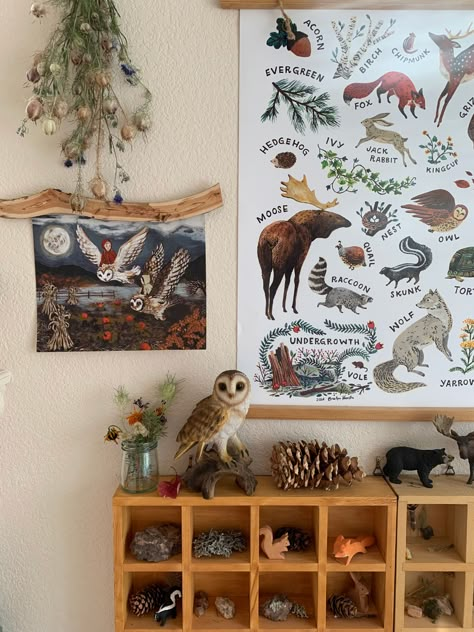 Woodland Montessori Room, Forestcore Nursery, Montessori Room Decor, Whimsical Nature Themed Nursery, Boys Forest Room, Forest Theme Kids Room, Natural History Decor, Nature Themed Playroom, Vintage Nature Nursery