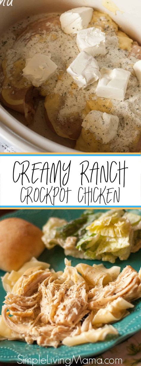 Crock Pot Creamy Ranch Chicken, Ranch Chicken Crockpot, Creamy Ranch Chicken, Ranch Packet, Creamy Ranch, Cream Cheese Chicken, Crockpot Dishes, Ranch Chicken, Ranch Seasoning