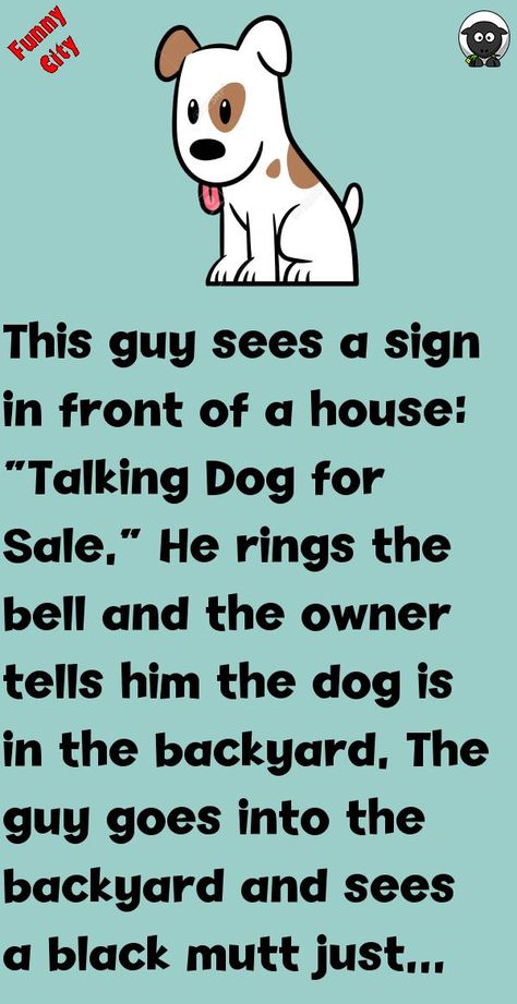 This guy sees a sign in front of a house: “Talking Dog for Sale.”He rings the bell and the owner tells him the dog is in the backyard.The guy goes into the backyard and sees a black .. #funny, #joke, #humor Dog Jokes Hilarious, Funny Signs Humor, Dog Humor Cartoon, Funny Talking Dog, Cats Funny Cartoon, Front Of A House, Funny Dog Signs, Dog For Sale, Dog Texts