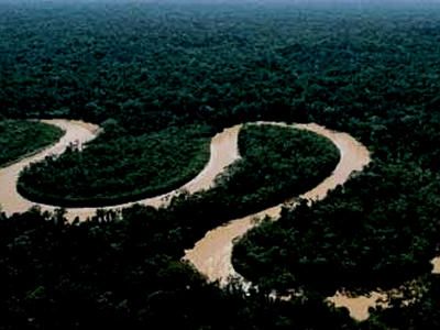 Amazon Rainforest Peruvian Amazon, National Geographic Kids, Amazon River, Peru Travel, Amazon Rainforest, Tropical Rainforest, Places Of Interest, Famous Places, Adventure Travel