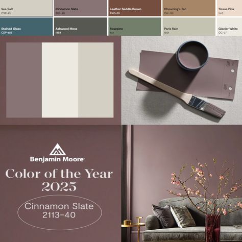 Cinnamon Slate 2113-40, Benjamin Moore's 2025 Color of the Year. Benjamin Moore Cinnamon, Cinnamon Slate, Paint Color Of The Year, Benjamin Moore Blue, Blue Nova, Purple Paint Colors, Painted Wainscoting, Brown Paint Colors, Blue Painted Walls