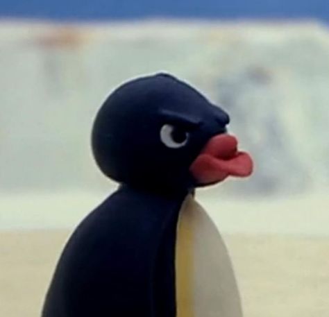 Pingu Memes, Pingu Pingu, Noot Noot, I Am Angry, You Mad, Reaction Memes, Reaction Pics, Reaction Pictures, Mood Pics