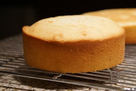 Milk Sponge Cake Recipe, Hot Milk Sponge Cake Recipe, Hot Milk Sponge Cake, Hot Milk Cake, Sponge Cake Recipe, Vanilla Sponge Cake, Sponge Cake Recipes, Milk Cake, Vanilla Cake Recipe