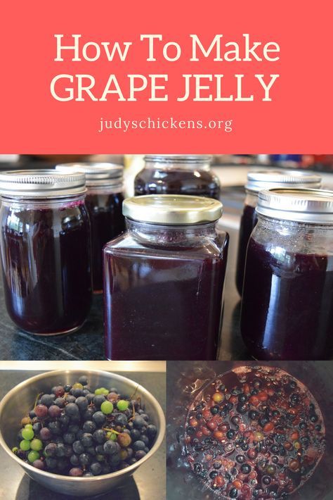 Grape Jam With Pectin, Grape Jelly With Liquid Pectin, Canning Grape Jelly From Grapes, Homemade Grape Jelly From Grapes, How To Make Grape Jelly, Easy Grape Jelly Recipe, Grape Jelly Canning Recipe, Grape Jelly From Grapes, Low Sugar Grape Jelly Recipe