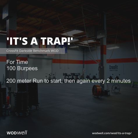 Trap Workout, Wods Crossfit, Traps Workout, Fighter Workout, Home Workout Men, Crossfit At Home, Cross Training Workouts, Wod Workout, Partner Workout