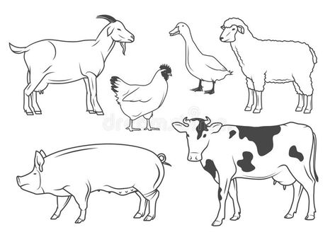 Farm animals. Set of vector drawings of farm animals , #Ad, #Set, #animals, #Farm, #farm, #drawings #ad Drawings Of Farm Animals, Jungle Images, Animal Paintings Acrylic, Pencil Drawings Of Girls, Baby Animal Drawings, Pencil Drawings Of Animals, Farm Dogs, Drawing Wallpaper, Silly Dogs